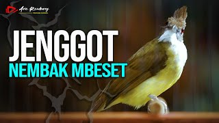 Download lagu MASTERAN CUCAK JENGGOT GACOR NEMBAK MBESET mp3 Download lagu MASTERAN CUCAK JENGGOT GACOR NEMBAK MBESET mp3