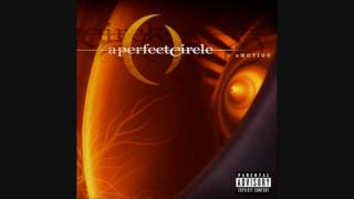 A Perfect Circle A PERFECT CIRCLE Blue Bird Shake Mix