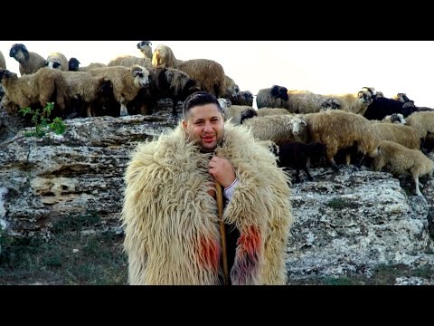 Marian de la Constanta - Viața la stână  (Official Music Video)