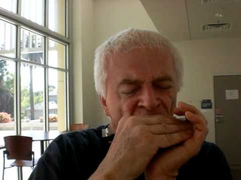 New Swan 24 Double Hole Tremolo Harmonica