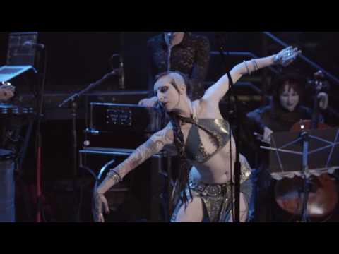 Misirlou- Anthony Roumanis (with Ariellah)