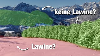 Gibts im Wald Lawinen? - Wissen für Schneeschuhwanderer, Wanderer, Bergsteiger & Skitourengeher!