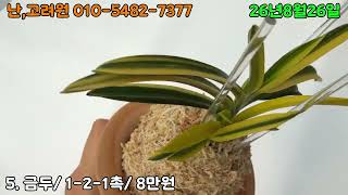 Download lagu [8월26일] 묘향, 천지천, 만월, 흑담, 금두, 진월, 부귀전, 양명문, 관악, 금광금입니다~ mp3
