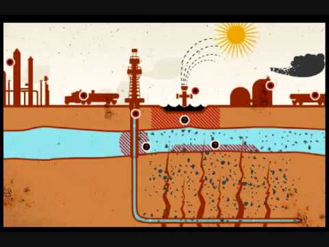 NsN  Ausbeutung total 01 02 2012