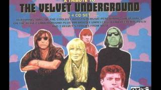 Chapterhouse - Lady Godiva&#39;s Operation (The Velvet Underground)