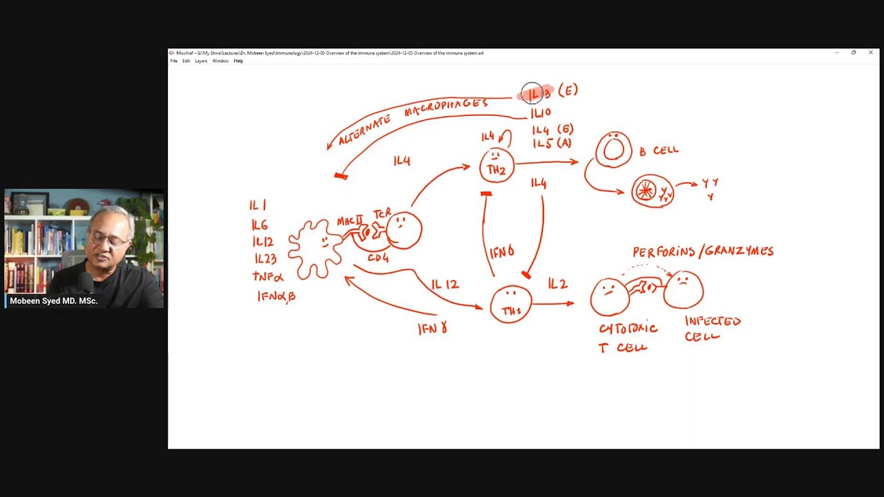 An Overview of Our Immune System - YouTube