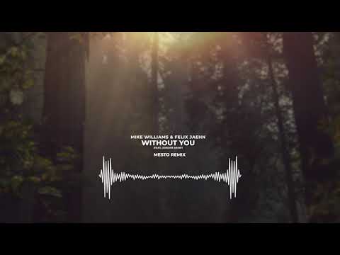 Mike Williams, Felix Jaehn  – Without You ft. Jordan Shaw (Mesto Remix) | Visualizer