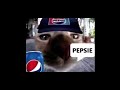 DR Pepper Vs Fanta Vs Monster Vs Root Beer Vs Pepsi Vs Coca Coala Vs Sprite