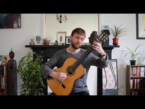 Dušan Bogdanović - Mysterious Habitats