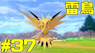【役割論理】ポケモン剣盾で役割論理ですぞpart37 いつの環境でも強い鳥編【やろびのうた】