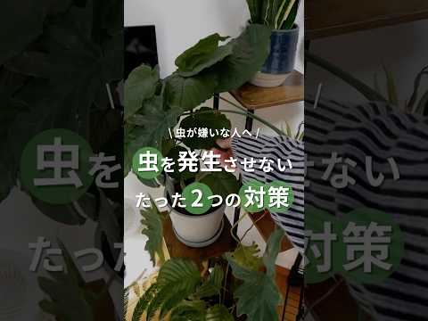 庭用のコーヒーかす