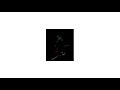 Custom LeapTV Boot Animation