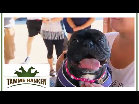 Genetic Waste Mops: "You've bought the biggest junk there is!" | Tamme Hanken | Kabel Eins