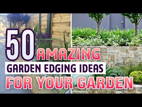 50 Amazing Garden Edging Ideas For Your Garden