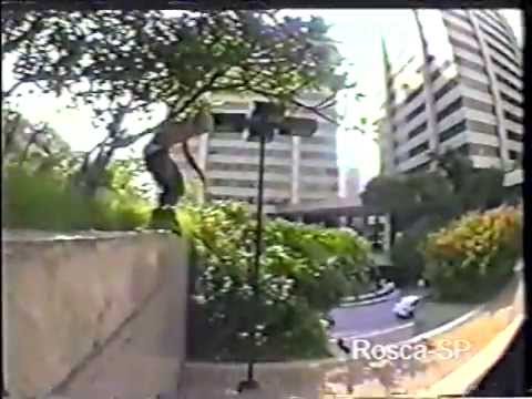 Citossomos part 1  Amigos 2002