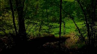 CLANNAD - HERNE 1984 ( LEGEND )