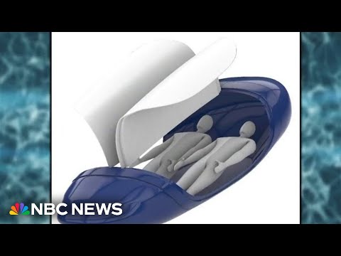 Controversial 'suicide pod' could potentially use AI-powered feature