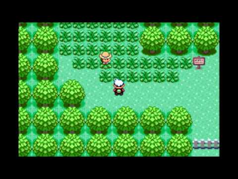 Lets Play Pokemon Smaragd Wedlocke-Challenge (german) #005 - erste Verluste