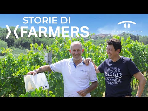 Monitoraggio della tignola - Az. Vit. Campo del Sole [Storie di xFarmers]
