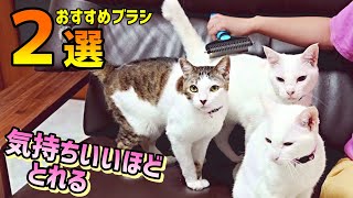 恐ろしいほど毛がとれるブラシで猫がメロメロになってしまったwww
