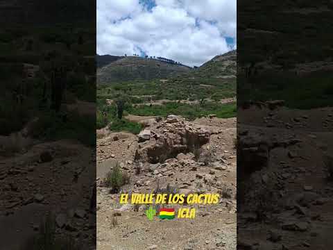 Valle de los 🌵 🇧🇴 Icla Chuquisaca