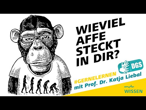 Gebärdefassung: Wieviel Affe steckt in Dir? | #gernelernen mit MDR Wissen | MDR