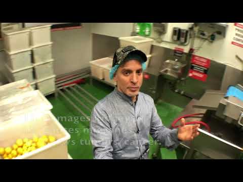 Marcus Antebi: Eliminate Processed foods. founder of Juice Press Explains