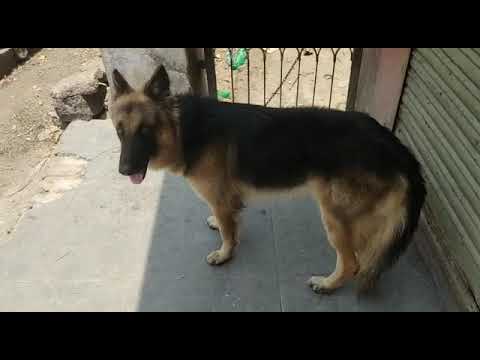 Fr matting only pondicherry