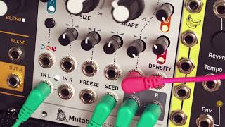Mutable Instruments Beads - What To Know & Where To Buy | Equipboard