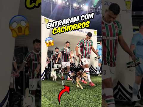 POR QUE OS JOGADORES DO FLUMINENSE ENTRARAM COM CÃES?😱