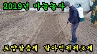 마늘농사 마늘심고 토양살충제와 풀발아억제 제초제를 살포했어요