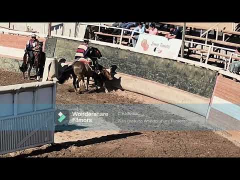 Serie De Campeones Valle De Camarones 2026