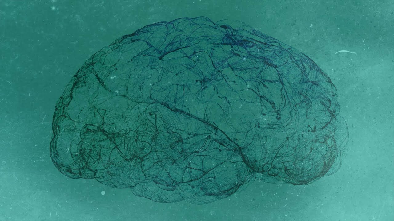 S'occuper des blessures de stress post traumatique