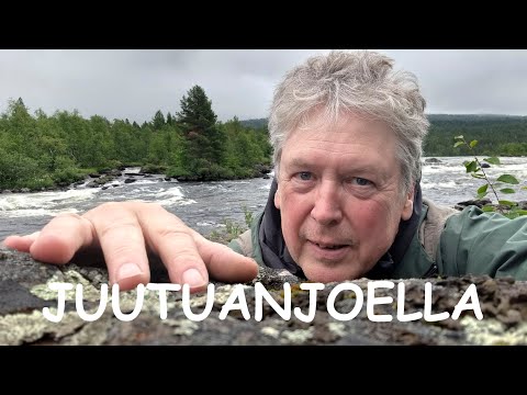 Juutuanjoen taimen – ei sitä oteta!