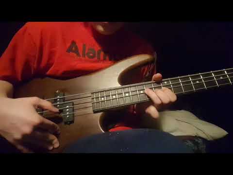 I present to you the first ever bass cover of lil wayne's solo (meme)