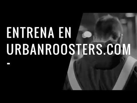 NITRO VS ESEZETA FMS CHILE JORNADA 7 OFICIAL