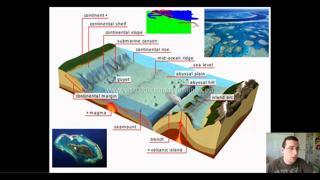 Ocean Basins (Part 1): Features of the Ocean Floor (Continental Margin)