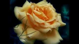 QUITAME ESTE VELO...wmv Amistades peligrosas (1sofiaortegacruz)