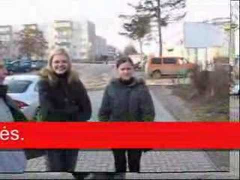 "Visi skirtingi - visi lygus" apklausa