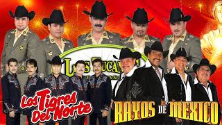 Los Tigres del Norte Los Rayos de México y Los Tucanes de Tijuana  Crossover Mix