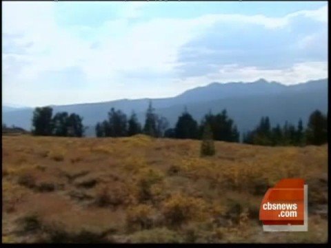 Fossett Plane Possibly Found