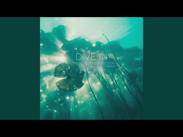 Gliding On Iridescent Waves