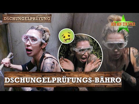 Holt Ariel DIESES Mal Sterne? 👀⭐ | Dschungelcamp 2026