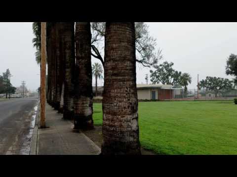 01.13.2017 Dinuba Ca.