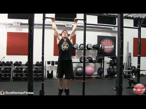 Muscular Strenght Title