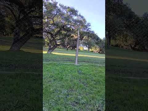 El Brete al noroeste. Ciudad de Parana. Entre Rios. 10
