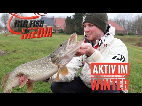 Aktiv im Winter - Spinnfischen auf Hecht