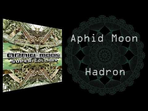 Aphid Moon - Hadron (Original Mix)
