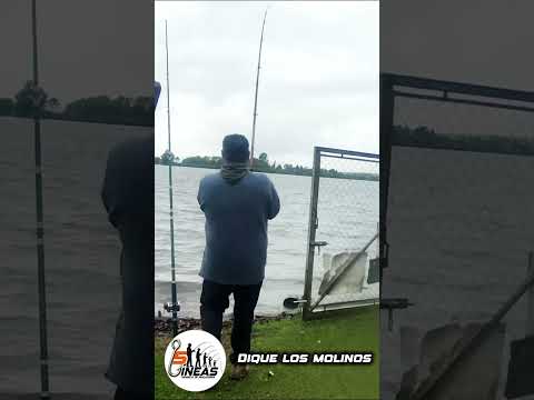 Bagre en los molinos #córdoba #pesca #turismo #bagre #valledecalamuchita