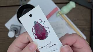 Henry David Thoreau Ink Review Organics Studio Fountain Pen Ink